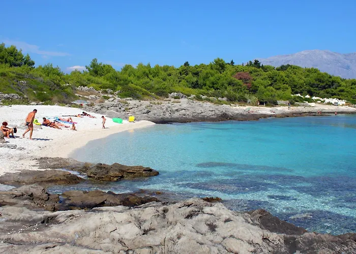 Apartments By The Sea Sumartin, Brac - 2951